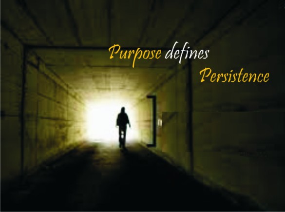 Purpose define persistence 